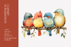Cute baby birds watercolor clipart sublimation Product Image 1