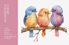 Cute baby birds watercolor clipart sublimation Product Image 1
