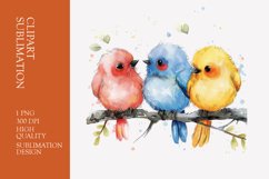 Cute baby birds watercolor clipart sublimation Product Image 1