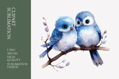 Two Cute Bird Watercolor Clipart Sublimation Product Image 1