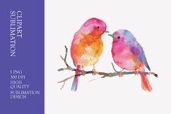 Two Cute Bird Watercolor Clipart Sublimation Product Image 1