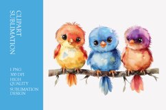 Cute baby birds watercolor clipart sublimation Product Image 1