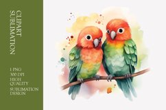 Two Cute Bird Watercolor Clipart Sublimation Product Image 1
