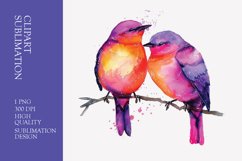 Two Cute Bird Watercolor Clipart Sublimation Product Image 1