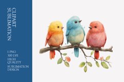 Cute baby birds watercolor clipart sublimation Product Image 1