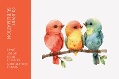 Cute baby birds watercolor clipart sublimation Product Image 1