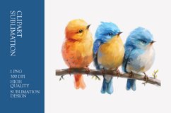 Cute baby birds watercolor clipart sublimation Product Image 1