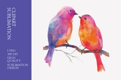 Two Cute Bird Watercolor Clipart Sublimation Product Image 1