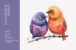 Two Cute Bird Watercolor Clipart Sublimation Product Image 1