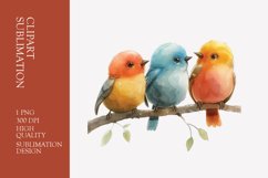Cute baby birds watercolor clipart sublimation Product Image 1