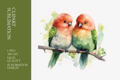 Two Cute Bird Watercolor Clipart Sublimation Product Image 1