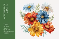Daisy flower bouquet watercolor clipart sublimation Product Image 1