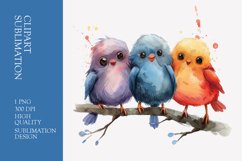Cute baby birds watercolor clipart sublimation Product Image 1