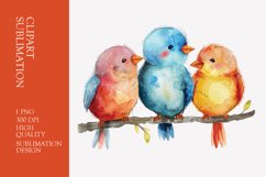 Cute baby birds watercolor clipart sublimation Product Image 1
