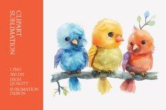 Cute baby birds watercolor clipart sublimation Product Image 1