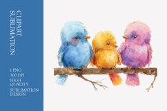 Cute baby birds watercolor clipart sublimation Product Image 1