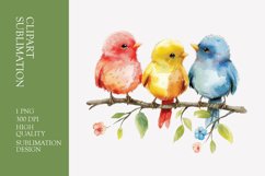 Cute baby birds watercolor clipart sublimation Product Image 1