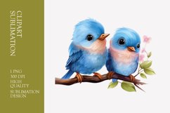 Two Cute Bird Watercolor Clipart Sublimation Product Image 1