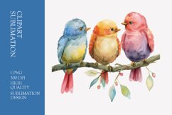Cute baby birds watercolor clipart sublimation Product Image 1