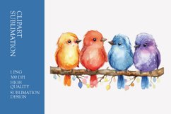 Cute baby birds watercolor clipart sublimation Product Image 1