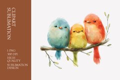 Cute baby birds watercolor clipart sublimation Product Image 1