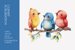 Cute baby birds watercolor clipart sublimation Product Image 1