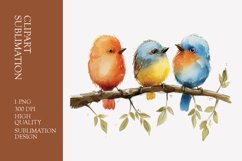 Cute baby birds watercolor clipart sublimation Product Image 1