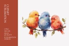 Cute baby birds watercolor clipart sublimation Product Image 1