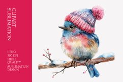 cute bird winter hats sitting on branch watercolor clipart Product Image 1