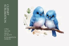 Two Cute Bird Watercolor Clipart Sublimation Product Image 1