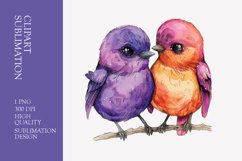Two Cute Bird Watercolor Clipart Sublimation Product Image 1