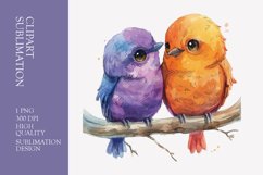 Two Cute Bird Watercolor Clipart Sublimation Product Image 1