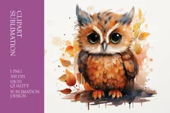 Cute baby owl watercolor clipart sublimation Product Image 1