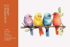 Cute baby birds watercolor clipart sublimation Product Image 1