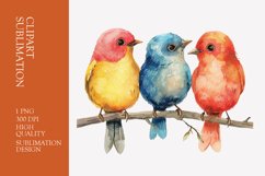 Cute baby birds watercolor clipart sublimation Product Image 1