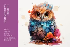 Cute baby owl watercolor clipart sublimation Product Image 1