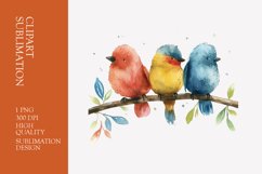 Cute baby birds watercolor clipart sublimation Product Image 1