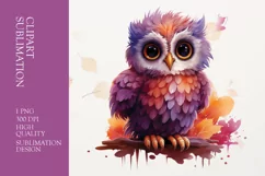 Cute baby owl watercolor clipart sublimation Product Image 1