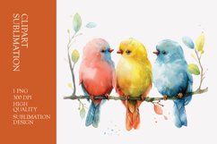 Cute baby birds watercolor clipart sublimation Product Image 1