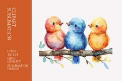 Cute baby birds watercolor clipart sublimation Product Image 1