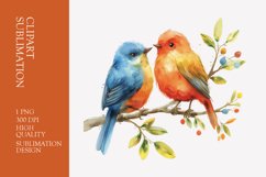 Cute baby birds watercolor clipart sublimation Product Image 1