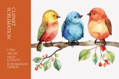 Cute baby birds watercolor clipart sublimation Product Image 1
