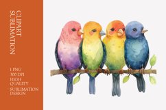 Cute baby birds watercolor clipart sublimation Product Image 1
