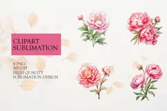Watercolor pink rose flower clipart png Product Image 1