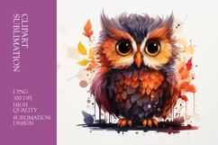 Cute baby owl watercolor clipart sublimation Product Image 1