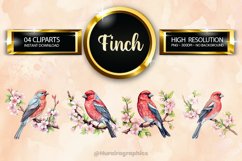 Finch Clipart 04 variations Product Image 1
