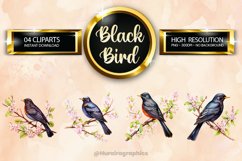 Black Bird Clipart 04 variations Product Image 1