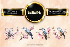 Nuthatch Clipart 04 variations Product Image 1