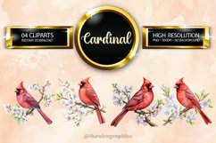 Cardinal Clipart 04 variations Product Image 1