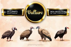 Vulture Clipart 04 variations Product Image 1